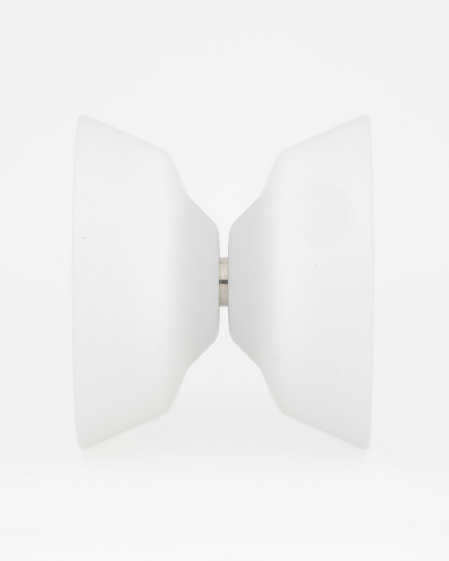 アノトガスター